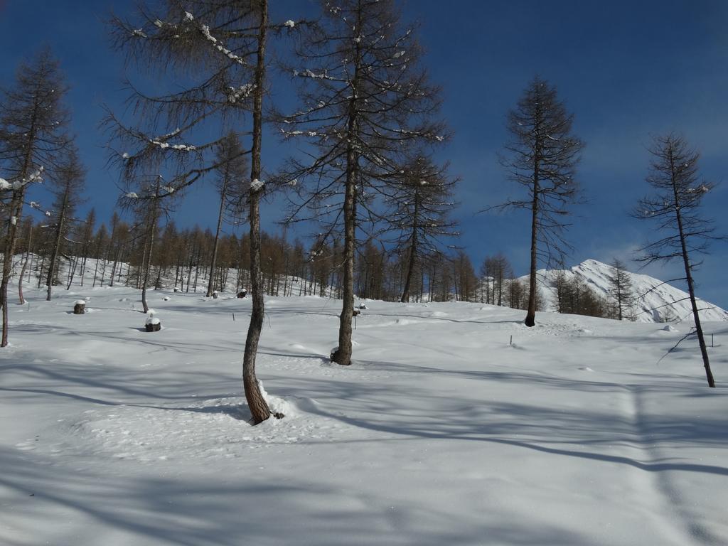 Grossglocknerappartement Kals-am Großglockner Екстериор снимка
